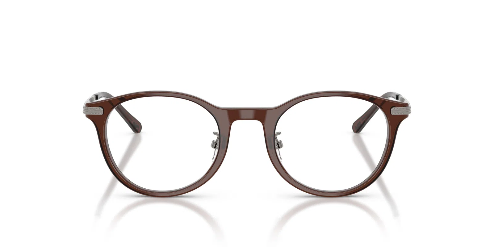 Polo 2313D Eyeglasses - view 8
